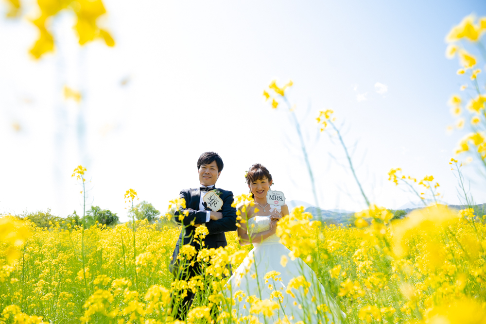 小布施の菜の花ロケーション